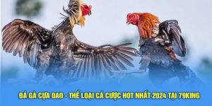 Đá Gà Cựa Dao - Thể Loại Cá Cược Hot Nhất 2024 Tại 79King