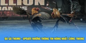 Đá Gà Thomo - Update Những Thông Tin Nóng Nhất Cùng 79King