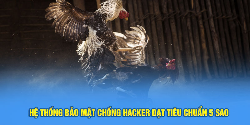 Hệ thống bảo mật chống hacker đạt tiêu chuẩn 5 sao