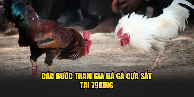 Các bước tham gia đá gà cựa sắt tại 79king