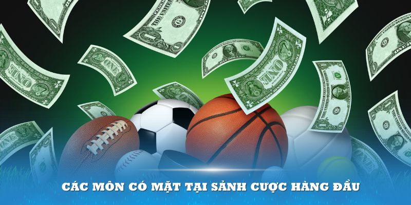 Tổng hợp các môn có mặt tại sảnh cược hàng đầu