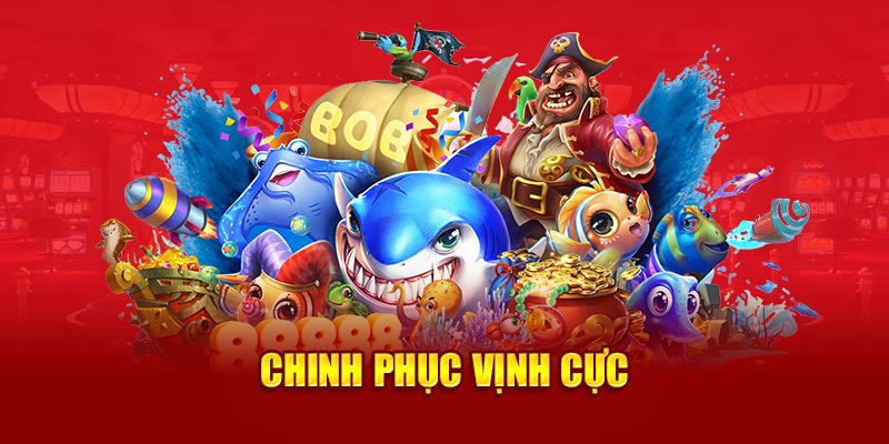 Chinh phục vịnh Cực